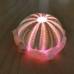 ウニランプ ピンク