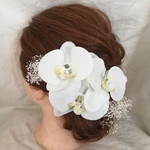 胡蝶蘭髪飾り 3点セット