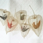 アレンジ★折り鶴★透かしほおずき★網ほおずき