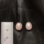 あち。様専用ページ