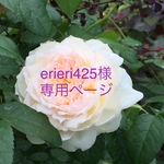 erieri425様専用ページ