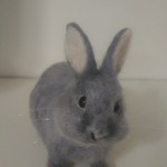 uttmamihaha様専用 羊毛フェルト