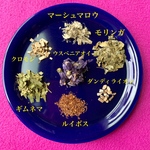 【2/28迄期間限定】お正月後のクレンジングブレンド 大容量 テトラ型ティーバッグタイプ ハーブティー