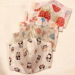 sana-cchi様専用 抗ウイルスマスク 園児サイズ