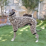 ベージュ系ヒョウ柄ロンパース🐆