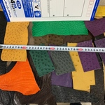 オーストリッチ(ツブなし) ミックスパック 004