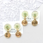 ♢driedflower×coincharmピアス/イヤリング♢
