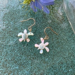 幸せを運ぶ小亀 夜光貝 14kgf ピアス (イヤリング変更可)