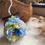 インテリアに最適!【幸せの実】ホワイト ブッダナッツ