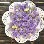 スターチスミックス♡約100個