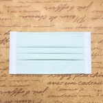 プリーツマスク✨ペールグリーン ミントグリーン