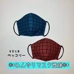 【Mサイズ】☆接触冷感☆ファミリアチェックの立体【夏マスク】