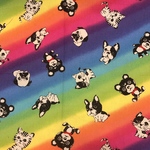 【インスタからのオーダー品】レインボー柄クールスヌード