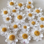 【ドライフラワー】ハナカンザシ