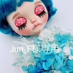 Jun_F様専用ページ