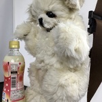 ペキニーズのクロスボデイバッグ