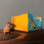 爬虫類大好き! 子ども用立体マスク 小学生 園児 男の子 かっこいい エメラルドグリーン 夏