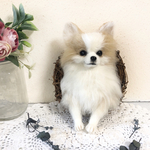 羊毛フェルト チワワのフラワーリース