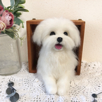 羊毛フェルト にこにこマルチーズ