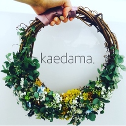 kaedama