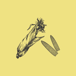 やまなしファーム RIKKA