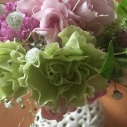 ピッコラペルラ