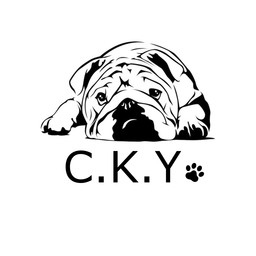 C.K.Y