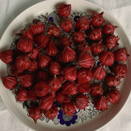 爪の上の美術館