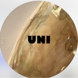 Uni nail   ネイルチップ