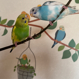 グリテンのアトリエ