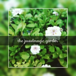 thejuwelmagicgarden