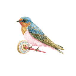 Nest Press | すとうえみ