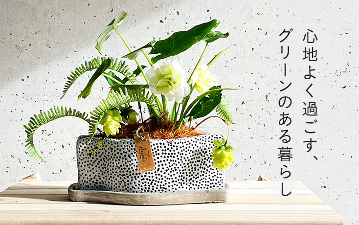 心地よく過ごす、グリーンのある暮らし