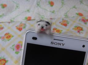 ショップ画像