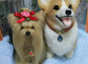 ショップ画像