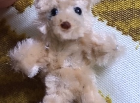ショップ画像