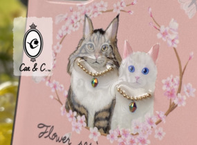 ショップ画像