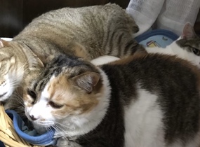 ショップ画像