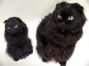 ショップ画像
