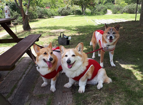 ショップ画像
