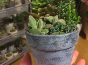 ショップ画像