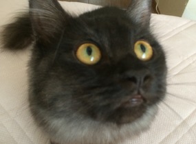 ショップ画像