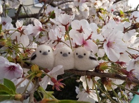 ショップ画像