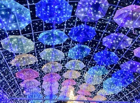 ショップ画像