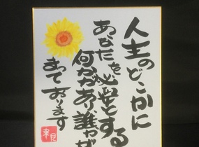 ショップ画像