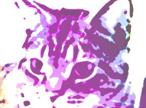 ショップ画像