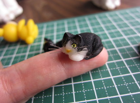 ショップ画像