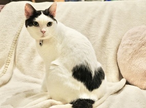 ショップ画像