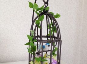 ショップ画像