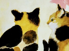 ショップ画像